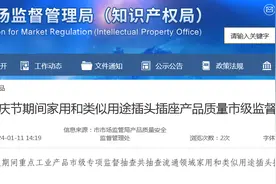 济南市公布2023年国庆节期间家用和类似用途插头插座产品质量市级监督抽查结果图片