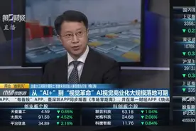 AI视觉科学家梅涛：政策促进AI视觉行业发展 技术落地 市场规模快速扩张视频封面