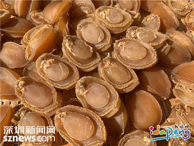 花胶蚝干汤 2026年花胶干贝煲汤的做法大全