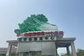 惠州四季绿平潭土地及设备设施拍卖！3372万元起拍图片