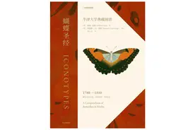 威廉·琼斯与《琼斯图谱》：全球蝴蝶区系的早期记录图片