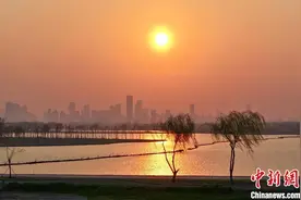 安徽合肥：巢湖岸边春光美图片