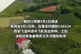 资深机长回应“飞机出现疑似狗叫后备降”：乘客有误解，或是液压机械动作的声音图片