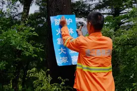 四川通江护林员王进：为守护8000余亩山林坚守大山二十年图片