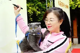 走秀、飞盘、往返跑……在这场萌宠运动会上，TA们推广文明养宠理念！图片