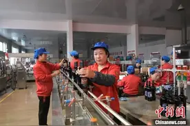 碣石山下 河北昌黎葡萄酒产业酿新香图片