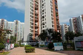 下沙社区凝聚“她”力量，精细化服务暖民心｜大鹏新区妇联组织亮点工作展示①图片