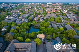 枣庄市台儿庄古城：树木茂盛 绿意盎然图片