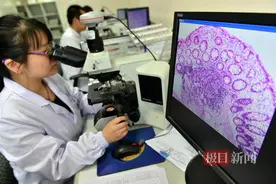 病理报告出检时间缩短至24小时，协和医院“病理诊断绿色通道”惠及11万患者图片