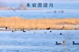 东湖评论：荆楚美味香飘四方图片