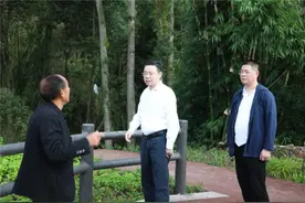 巴南区委书记何友生：以党建统领推动产业发展，让乡村振兴底色更亮、成色更足图片