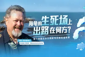 独家 | 读特记者专访斯坦福专家拉瑞·克劳德博士：海龟“生死场”上，出路在何方？图片