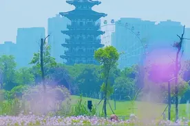 准爸妈的春日能量场！相约洋湖一起孕动吧图片