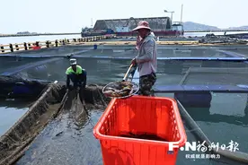 连江海味“游”上中秋餐桌图片