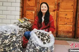 【甘快看】女性新农人话“她力量”：带动更多农村姐妹登上更大人生舞台图片