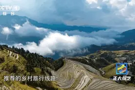 震撼！这里的梯田群壮美如龙，夜晚还有特别的景色，戳→图片