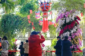 逛兰花“庙会”、赏蜡梅迎春，北京市属公园迎来游园赏花热潮图片