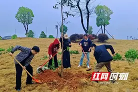 植树造林添新绿 春风化雨润桃李图片