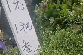 “农历三月三，荠菜煮鸡蛋”，最早跟这位神医有关图片