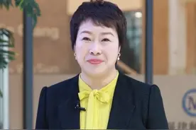 施佰芝，涉嫌严重违法和职务犯罪图片