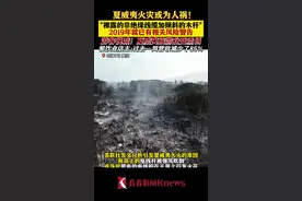 木电线杆和非绝缘线缆 夏威夷山火起因或为人祸图片