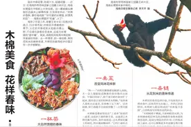 海南周刊丨木棉美食 花样春味图片