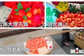 街头贩卖的金西梅，究竟是什么东西做的？图片