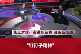 《决定》强调“钉钉子精神”有何深意？图片