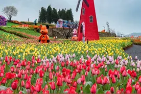 淄博“小荷兰”？ 一篇攻略，玩转“云上的郁花园”图片
