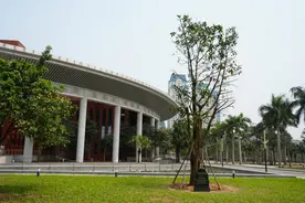 海外网评：旅游、节日、电影……中越友谊接力棒传下去图片