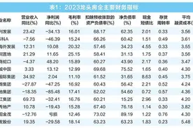 复盘房企基本面：营收触底反弹，龙头企业杠杆降至9年新低图片