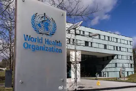 世卫组织：解决加沙苦难的最好药物就是和平图片