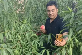 邵立胜：电商路上的“追梦人”图片