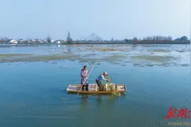 湖南日报|小龙虾错峰上市图片