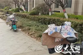 有爱指数测评丨张店：莫让宠物粪便拉低社区颜值图片