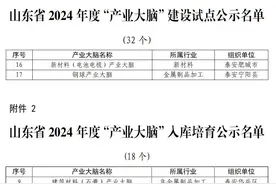 泰安市4家单位成功入选山东省“产业大脑”公示名单图片