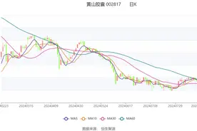 黄山胶囊：2024年上半年净利润2968.24万元 同比下降21.84%图片
