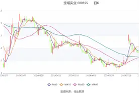 宝塔实业：2024年上半年亏损3213.84万元图片