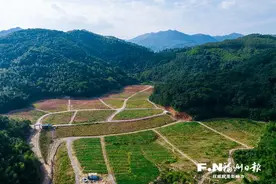 罗源县起步镇曹垅村“变废为宝” 弃渣场“披绿生金”图片