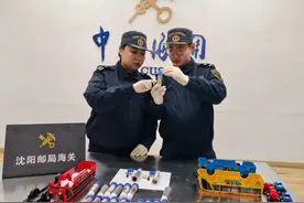 精心伪装、夹藏！海关查获外来物种巨人恐蚁40只！图片