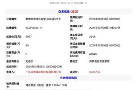 福田摘得惠州地块！“飞地园区”聚焦新质生产力图片