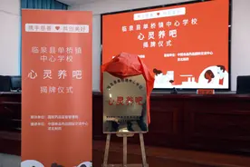 探索乡村儿童青少年心理健康服务新路径 临泉“心灵养吧”正式揭牌运营图片