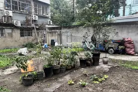 “这小院改造得太好了！”这块闲置“旧地”被TA们升级打造成“新天地”→图片