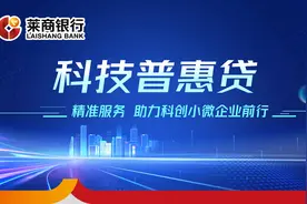 莱商银行落地首笔“科技普惠贷”图片