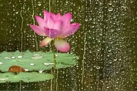 郭志波‖盛夏不温柔图片