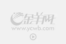 两大巨无霸产业集群坐镇惠来，临海石化崛起“超级链主”图片
