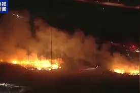 无视大风预警 预防部署不足！洛杉矶市消防局遭批应对山火不力图片