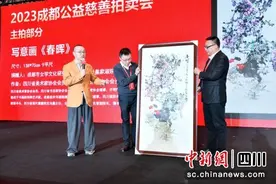 成都公益慈善年会在蓉举行 筹集慈善资金109.09万元图片