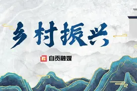 满地尽披“黄金甲” 兴隆镇先锋村金丝皇菊还将盛开一个月图片