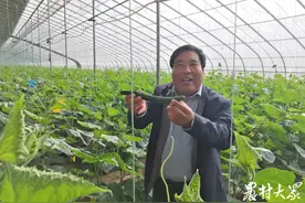 乡村产业看莱芜——特色中寻商机，山水间求发展图片